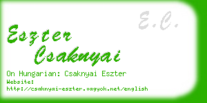 eszter csaknyai business card